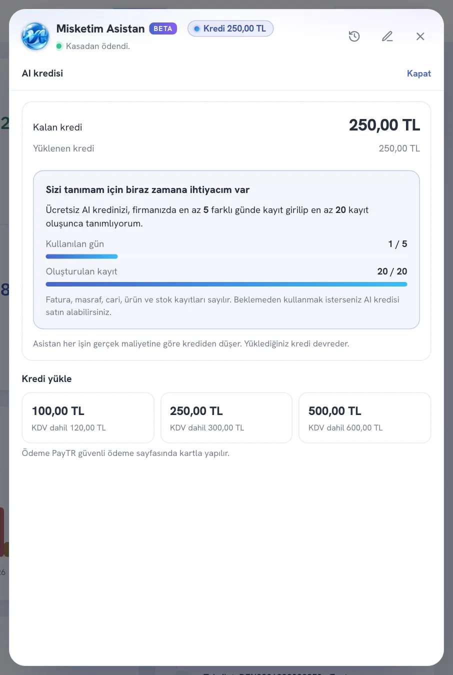 AI kredisi paneli